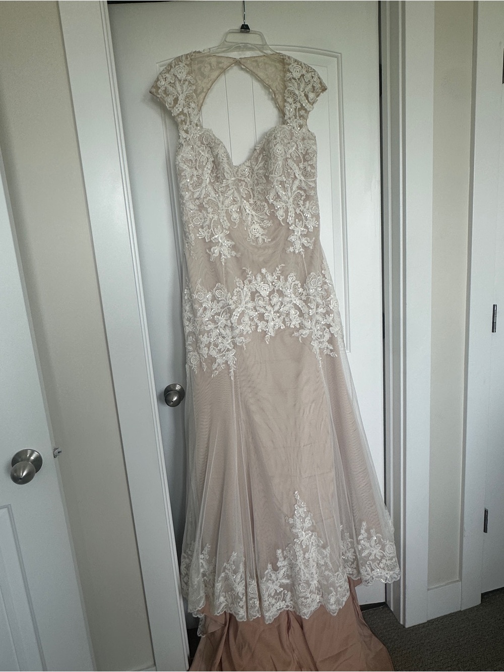 Julienne Watters Lace Appliqué Illusion Bodice Wedding Gown in Blush and Ivory
